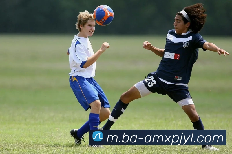 新葡京娱乐APP 高清赛事图